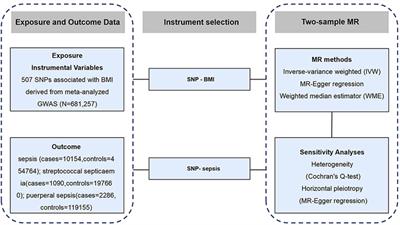 Exploring the Causality Between Body Mass Index and Sepsis: A Two-Sample Mendelian Randomization Study
